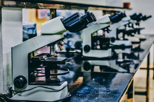 棕櫚大道留學(xué) 從父母反對(duì)到中介陷阱，她如何破局申8中7并拿下CMU科技中介服務(wù)錄取